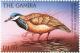 Colnect-4711-614-Blue-headed-quail-dove.jpg
