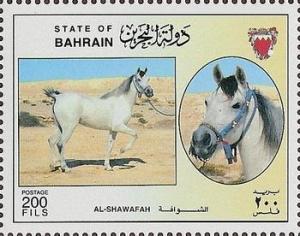 Colnect-1805-994--quot-Al-Shawafah-quot--Equus-ferus-caballus.jpg