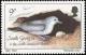 Colnect-4202-743-Birds-1987---Fairy-Prion-Pachyptila-turtur.jpg