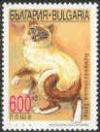 Colnect-460-139-Burmese-Felis-silvestris-catus.jpg