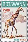 Colnect-7456-172-Giraffe-Giraffa-giraffa.jpg