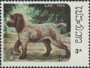 Colnect-2638-695-Pointing-Griffon-Canis-lupus-familiaris.jpg