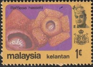 Colnect-5902-767-Rafflesia-hasseltii.jpg