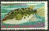 Colnect-1061-809-Green-Pufferfish-Tetraodon-fluviatilis-.jpg
