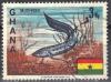 Colnect-1328-514-African-Lungfish-Protopterus-annectens-.jpg