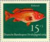 Colnect-152-453-Norway-Redfish-Sebastes-viviparus-.jpg