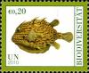 Colnect-2043-173-Boxfish-F-Ostraciidae.jpg