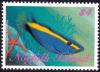 Colnect-2502-148-Goldribbon-Soapfish-Aulacocephalus-temminckii.jpg