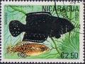 Colnect-1230-536-Blackfin-Pearlfish-Austrolebias-nigripinnis.jpg