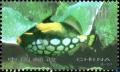 Colnect-2534-043-Clown-triggerfish-Balistoides-conspicillum.jpg