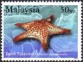 Colnect-4148-179-Knobby-Starfish-Oreaster-occidentalis.jpg