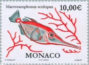 Colnect-150-167-Longspine-Snipefish-Macrorhamphosus-scolopax.jpg