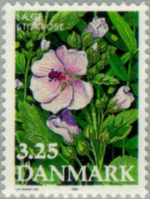 Colnect-157-182-Althaea-officinalis---Marsh-Mallow.jpg