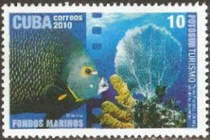 Colnect-2861-482-French-Angelfish-Pomacanthus-paru-Coral.jpg