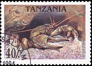 Colnect-3539-169-Danube-Crayfish-Astacus-leptodactylus.jpg