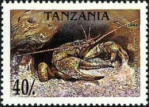 Colnect-5545-151-Danube-Crayfish-Astacus-leptodactylus.jpg