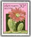 Colnect-1160-346-Flowering-Cactus.jpg