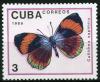 Colnect-1393-915-Butterfly-Callithea-sapphira.jpg