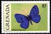 Colnect-2172-471-Butterfly-Calliona-argenissa.jpg