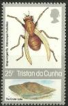 Colnect-2606-230-Strap-winged-Fly-Tristanomyia-frustulifera.jpg