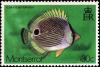 Colnect-2757-344-Foureye-Butterflyfish-Chaetodon-capistratus.jpg