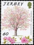Colnect-1631-473-Flowering-Cherry.jpg