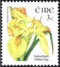 Colnect-1718-897-Yellow-Flag---Iris-pseudacorus.jpg