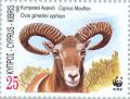 Colnect-180-750-Cyprus-Mouflon-Ovis-gmelini-ophion.jpg