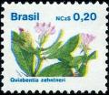 Colnect-5198-659-Brazilian-Flora-Quiabentia-zehntneri.jpg