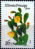 Colnect-5296-873-Flowering-cactus.jpg