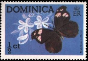 Colnect-2293-260-Butterfly-Myscelia-antholia.jpg