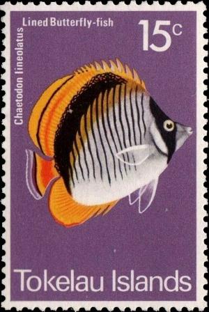 Colnect-4596-260-Lined-Butterflyfish-Chaetodon-lineolatus.jpg