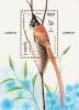 Colnect-1526-973-Asian-Paradise-Flycatcher-Terpsiphone-paradisi.jpg