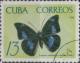 Colnect-2163-636-Butterfly-Prepona-antimache.jpg