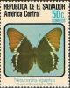 Colnect-2271-742-Butterfly-Metamorpha-epaphus.jpg