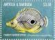 Colnect-5219-327-Foureye-Butterflyfish-Chaetodon-capistratus.jpg