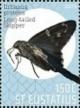 Colnect-6138-491-Butterflies-of-St-Eustatius.jpg