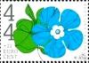 Colnect-717-362-Forget-Me-Nots.jpg