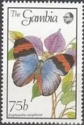 Colnect-1972-674-Gold-Banded-Forester-Euphaedra-neophron.jpg