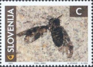 Colnect-699-042-Fossilized-Fly.jpg