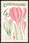 Colnect-438-638-Meadow-saffron-Colchicum-autumnale.jpg