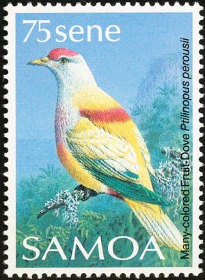 Colnect-1766-836-Many-coloured-Fruit-dove-Ptilinopus-perousii.jpg