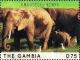 Colnect-3611-943-Amboseli---Kenya-African-Elephant-Loxodonta-africana.jpg