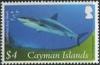 Colnect-4075-590-Caribbean-Reef-Shark-Carcharhinus-perezii-.jpg