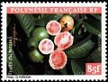 Colnect-649-012-Fruits-of-the--quot-fenua-quot-.jpg