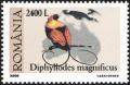 Colnect-756-938-Magnificent-Bird-of-paradise-Diphyllodes-magnificus.jpg