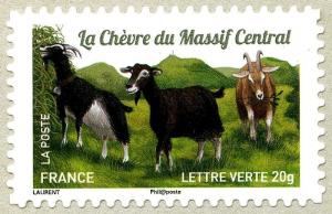 Colnect-2556-628-Central-Massif-Goat-Capra-aegagrus-hircus.jpg