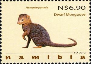 Colnect-3063-944-Common-Dwarf-Mongoose-Helogale-parvula.jpg