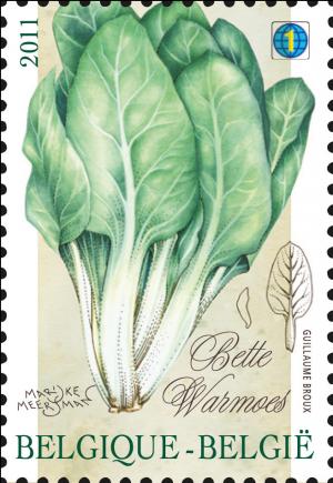 Colnect-679-706-Vegetables-of-the-past-Bette---Warmoes.jpg