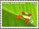 Colnect-1143-910-Red-eyed-Leaf-Frog-Agalychnis-callidryas.jpg